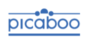 Picaboo Promo Code