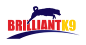 BrilliantK9 Promo Code